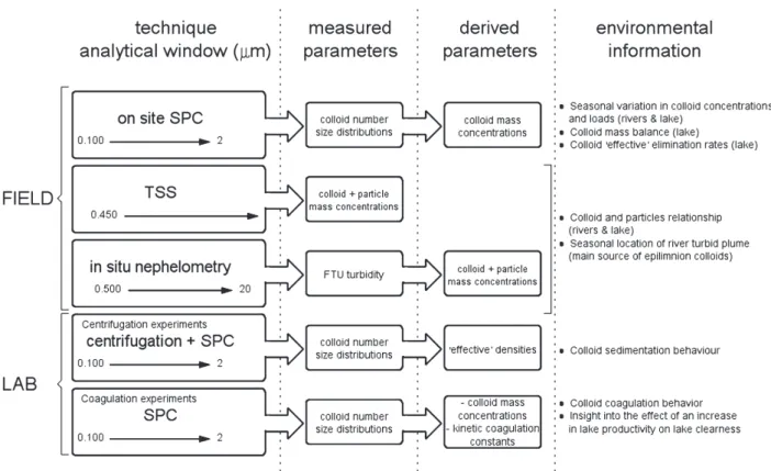 Fig. 1. Methodological approach used in this study.