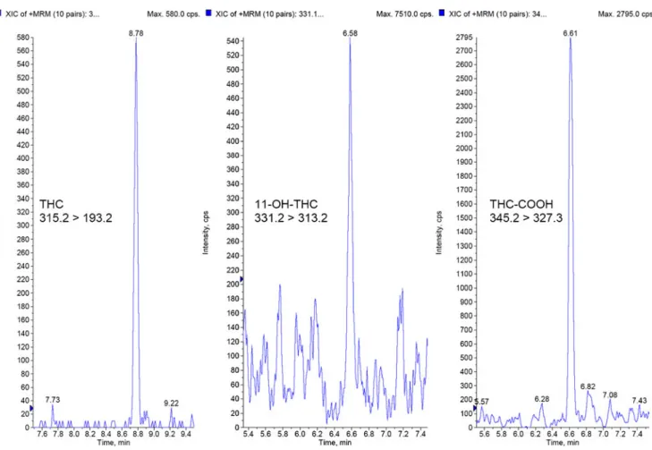 Fig. 1 Typical chromatogram for the lowest calibration level of THC, 11-OH-THC and THC-COOH (0.50 ng/mL THC, 0.5 ng/mL 11-OH-THC and 2.5 ng/mL THC-COOH in whole blood)