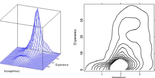 Fig. 6 Density of ln(wage/hour) and Experience in 2002 (female)