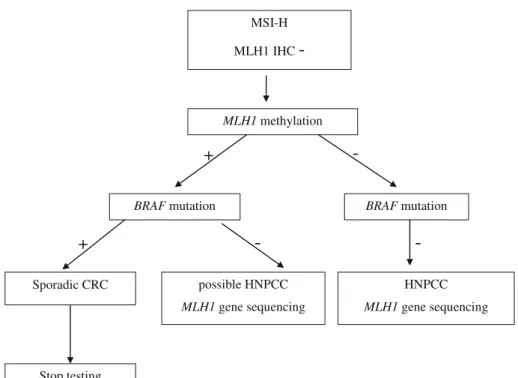 Fig. 1 Algorithm for investigating HNPCC patients