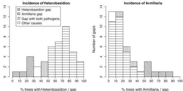 Figure 2. Incidence of Heterobasidion annosum and Armillaria in canopy gaps (n = 42) associated with either or both root rot pathogens in the mountain pine forests of the Swiss National Park.