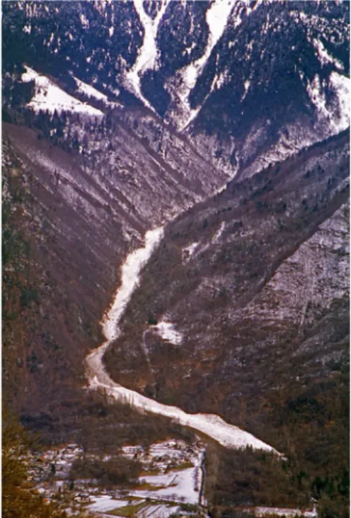 Fig. 4. View of the Saint-Cl´ ement watershed and the 1999 avalanche (courtesy of RTM Savoie, photograph by St´ ephane Roudnistka).