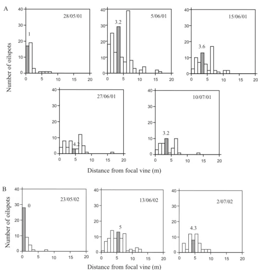 Figure 2. Distance distribution of the oilspots caused by the predominant genotype from the focal vine; (A) predominant-2001 from the vine 97 at five sampling dates, (B) predominant-2002 from the vine 48 at three sampling dates (the median values are also 