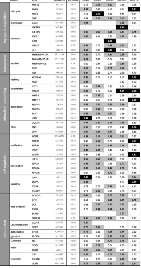 Table 2 Effect of an eccentric single bout on the gene  tran-script signature