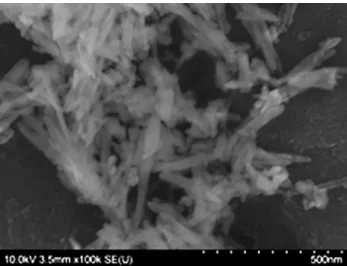 Fig. 1 High resolution SEM image of iron iodate nanosized powders