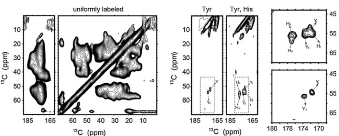 Fig. 4 Overlay of a 13 C– 13 C PDSD correlation spectrum (CO-CA region) of free (blue) and E30S-bound (red) His,Tyr-labeled IF1
