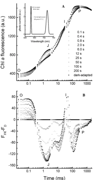Figure 1. Eﬀect of a far-red pre-illumination on OJIP-ﬂuores- OJIP-ﬂuores-cence induction curves measured at diﬀerent times after a  far-red pulse