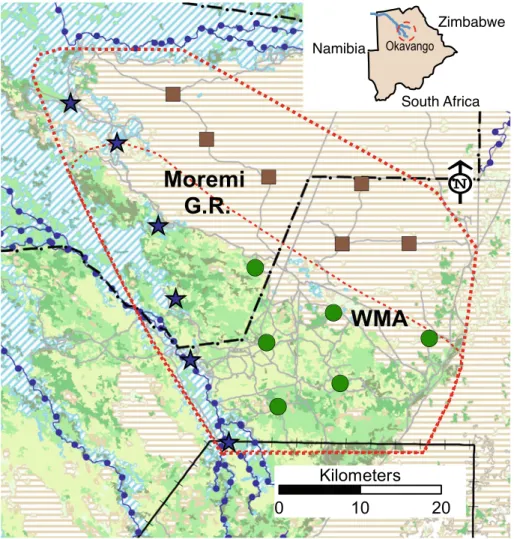 Fig. 1 The main study area of 1,800 km 2 (outer, red dotted line; see also inset map) was situated in the Okavango Delta in northern Botswana and comprised a section of MGR (dashed-dotted line) and the adjacent WMAs