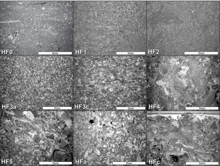 Fig. 6. Photomicrographs of micro-facies HF0-5 and HFa-c. See the text for details. HF0: Sample Sa38