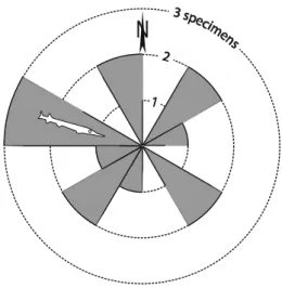 Fig. 8 Azimuthal orientation of Saurichthys specimens on the bedding plane of bed 29