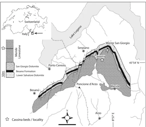 Fig. 1 Map of the Monte San Giorgio area showing the Middle Triassic carbonate sequence and the location of the excavation site of the Cassina beds near Cassina