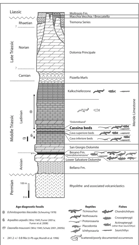 Fig. 2 Stratigraphic section of the Triassic sediments in the Monte San Giorgio area (modified and updated after Furrer 1995)