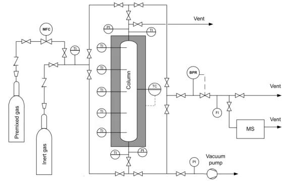 Fig. 1 Flowsheet of the Fixed bed setup. Five thermocouples are placed regularly inside the column at different positions (10 cm, 35 cm, 60 cm, 85 cm and 110 cm)