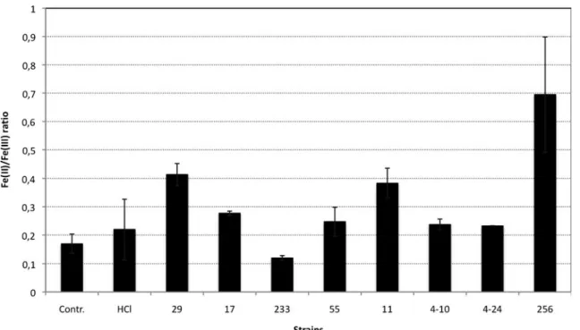 Figure 7 Ratio of Fe(II)/Fe(III) concentration in the solution at the end of the 30-day granite dissolution experiment