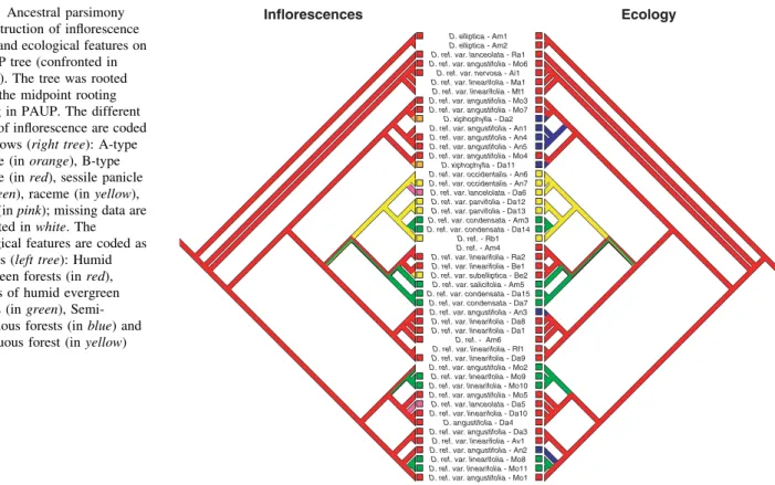 Table 2 Relationships between inflorescence and ecology in 41 samples for which habitat has been described