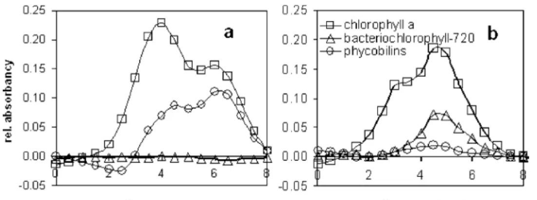 Figure 4. Pigment profiles through endolithic bands given as  absorp-tion values calculated from the reflection spectra
