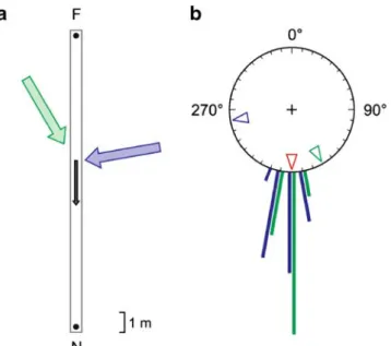 Fig. 1 Competition experiment: polarization compass vs wind compass. a Experimental setup during training