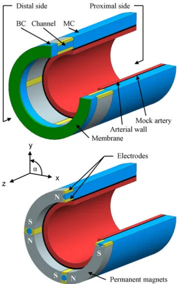 Fig. 1 Schematic representation of the proposed concept. Blue MC (large cylinder), BC (small cylinder), channels (small tubes); red arterial wall; black thin mock artery; green membrane; yellow electrodes; grey permanent magnets