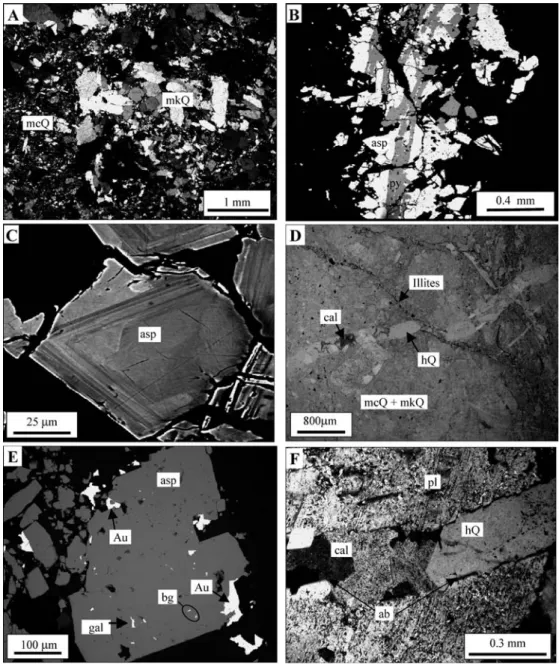 Fig. 6 Textural relationships in the mineralized quartz vein of the Moulin de Che´ni deposit