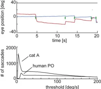 Fig. 2 Data analysis. Original traces of eye position recorded from cat A while it viewed natural pictures in which a global motion of 6.25°/s had been superimposed (P2): the horizontal (red) and the vertical (blue) eye movement component versus time