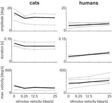 Fig. 3 Saccade characteristics. Amplitude (top), duration (middle), and maximum velocity (bottom) of cat (left) and human (right) saccades while viewing natural and modified natural stimuli at different stimulus velocities (P0, P2, P4, P8)