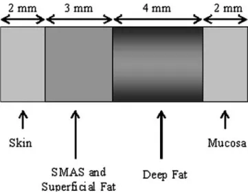 Fig. 2 Simple model of the tissue layers in the face
