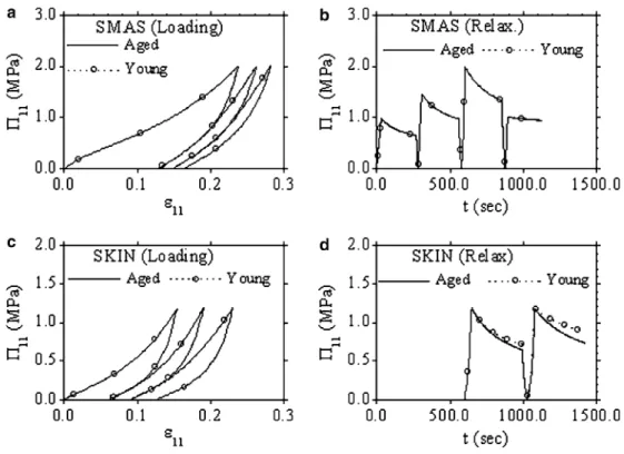 Figure 5 also indicates the ﬁxation points of the SMAS and deep fat layers using bold dots at the nodes of the element mesh