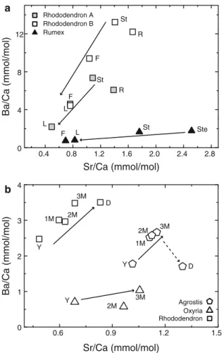 Fig. 3 Variation of d 44=42 Ca between different plant tissues for two specimens of Rhododendron and one specimen of Rumex.