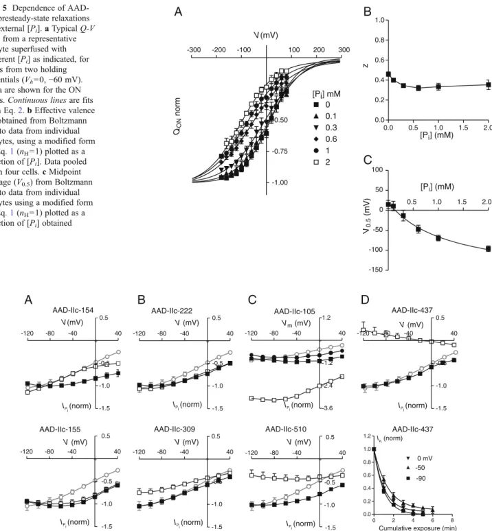 Fig. 5 Dependence of AAD- AAD-IIc presteady-state relaxations on external [P i ]. a Typical Q-V data from a representative oocyte superfused with different [P i ] as indicated, for steps from two holding potentials (V h =0, − 60 mV).