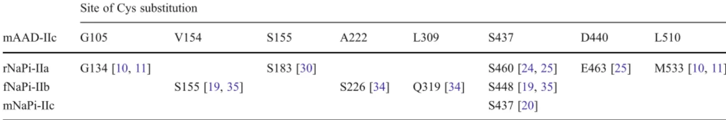 Table 1 Comparison of selected Cys substitution sites among SLC34 isoforms [see Fig. 6]