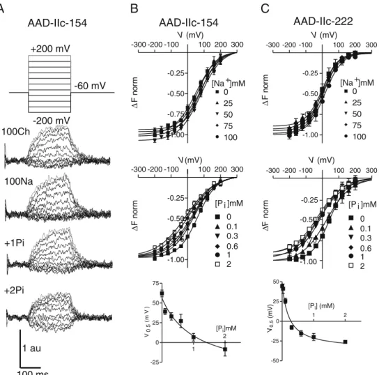 Fig. 8 VCF recordings from oocytes expressing AAD-IIc-154 and AAD-IIc-222, labeled with the fluorophore MTS-TAMRA
