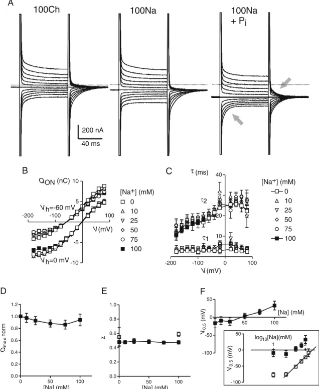 Fig. 4 Dependence of AAD-IIc presteady-state relaxations on external [Na + ]. a Presteady-state relaxations recorded in response to voltage steps from a V h =−60 mV to test potentials in the range −160 to +60 mV for three superfusion conditions indicated