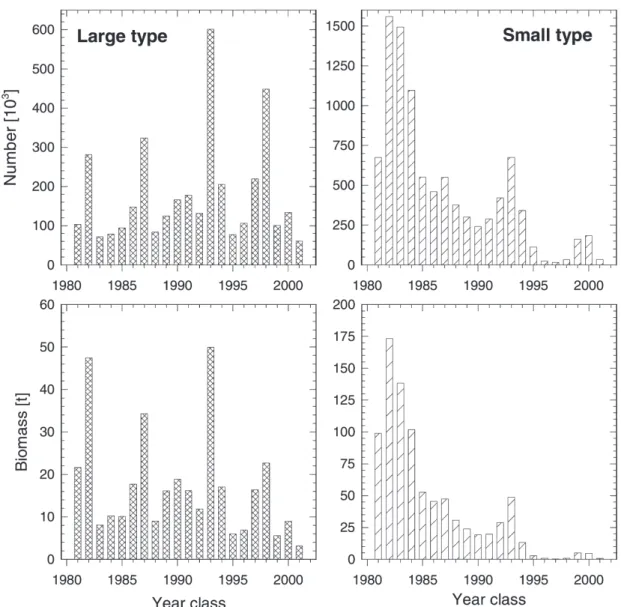 Figure 5. Year class strength (sum of ages 1 to 8) by numbers (top) and weight (bottom) of large type (left) and small type (right) whitefish of Lake Brienz, as computed by virtual population analysis