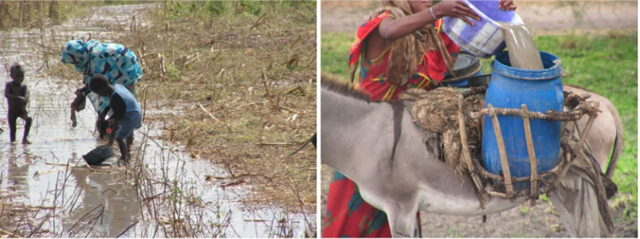 Figure 3. On the left, a mobile pastoralist woman and her children collect surface water for consumption and washing; on the right, collected surface water for consumption and washing is turbid and contaminated with animal and human excreta.