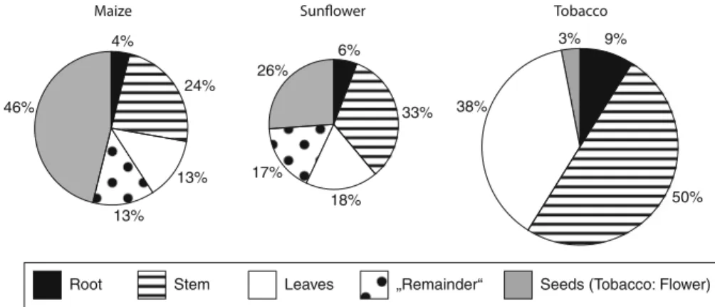 Fig. 2 Dry weight proportions of maize (left), sunflower (middle) and tobacco (right) parts of the plants of the control treatment