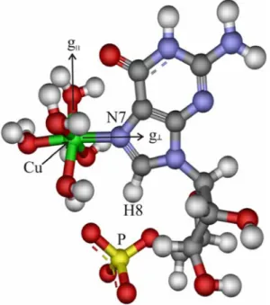 Fig. 6 X-band Mims ENDOR spectra of Cu(II)–5¢-GMP (sample 2) taken at observer positions D–F (see Fig