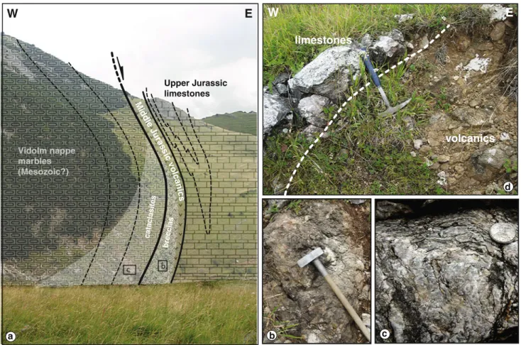 Fig. 11 Structural observations along the eastern slope of the Trasca˘u Mountains 1 km west of Izvoarele (uppermost Aiud river valley; locality indicated in Figs