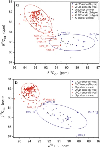 Fig. 7 2D ribose chemical shift correlations in dependence of the sugar pucker. C1 0 –C4 0 chemical shift correlations of purines (a) and pyrimidines (b), respectively