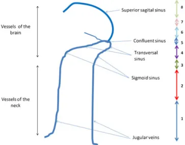 Table 2 Scan parameters used for acquisition of the radiological images (for native CT scans and the different angiographic phases) Field of view (cm) Slice thickness Reconstruction interval(mm) Tube voltage(kV) Milliamperes (Ma modulated)