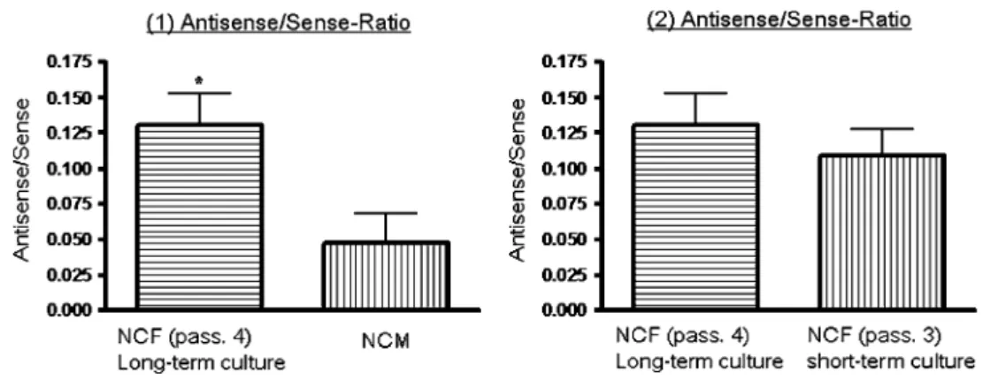 Fig. 6 Detection of cTnI protein by western blot. About 10 and 20 lg of total cell protein isolated from NCM (primary culture, 5 days of culture) and NCF (long-term culture, 14 days of culture) were separated by SDS-PAGE followed by western blotting