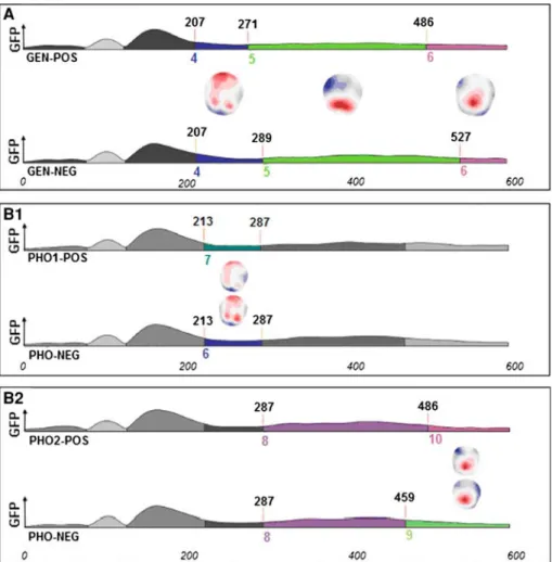Fig. 1 Segmentation results for the contrasts between conditions from 0 to 600 ms (X-axis)