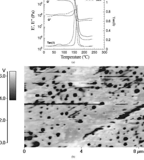 Figure 2 (a) DMA spectrum for 20 phr of HBP40 in DGEBA-IPD resin. A second transition peak in the region of 60–80 ◦ C corresponds to the second domain glass transition temperature