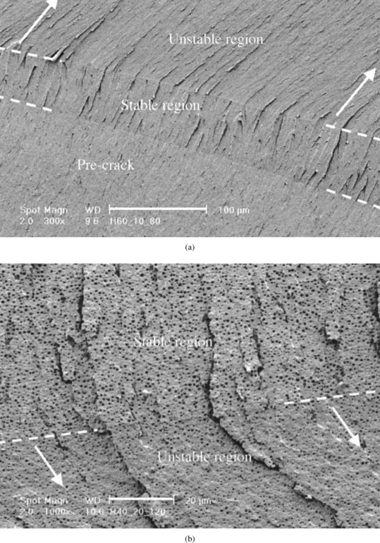 Figure 6 (a) SEM micrograph showing the precrack region and the stable and the unstable crack propagation region for a blend of 10 phr of HBP60 and DGEBA-IPD