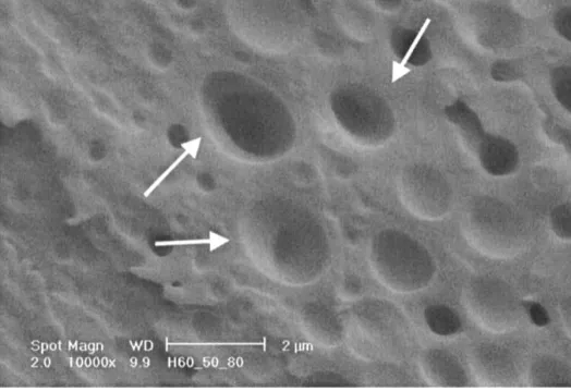Figure 8 Partial cavitation occurring within a particle in a blend of 50 phr of HBP60 and DGEBA-IPD.