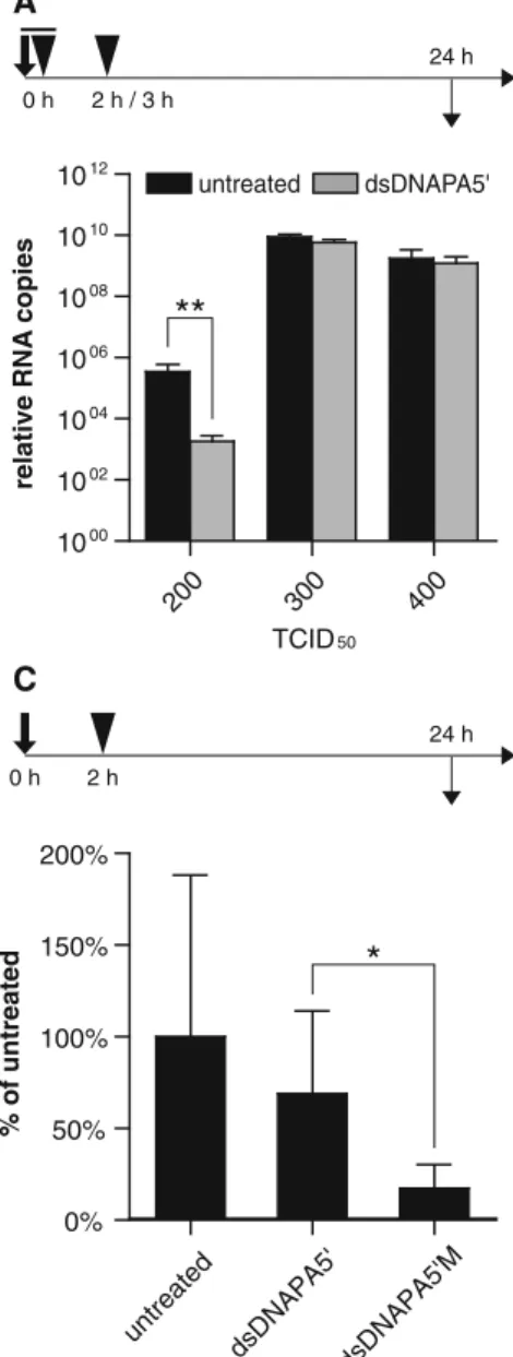 Fig. 3 The effects of viral dose, oligonucleotide dose, and nucleotide sequence in mice
