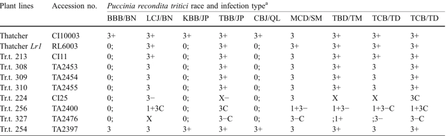 Table 1 Seedling reactions of eight Aegilops tauschii and two hexaploid wheat lines when tested with nine Mexican Puccinia recondita tritici races