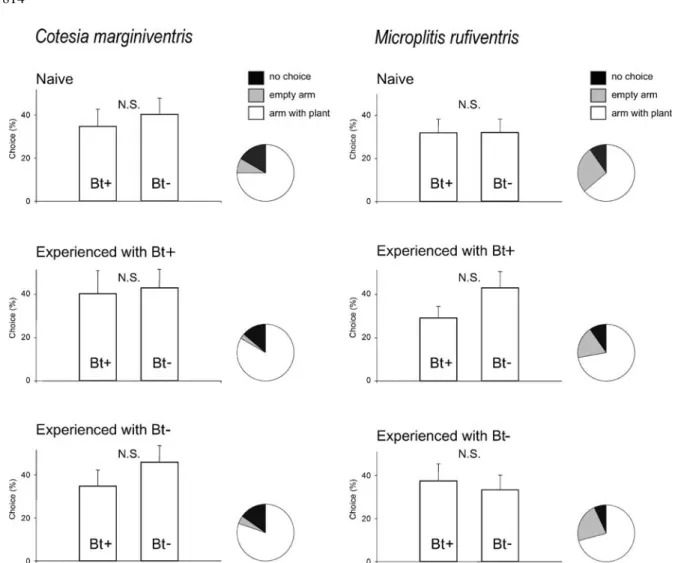 Figure 3. Responses of females of the parasitoids Cotesia marginiventris and Microplitis ruﬁventris to the odours of induced Bt and non-Bt plants in a 6-arm olfactometer