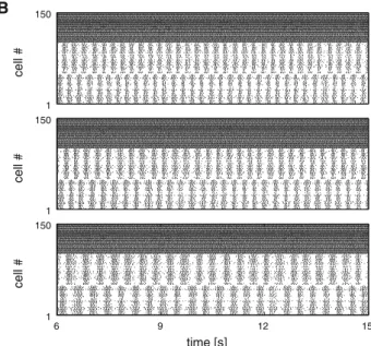 Figure 9A shows three representative average membrane potential traces of the left EIN subpopulation, corresponding