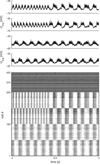 Fig. 11 Increasing the reticulospinal (RS) drive increased the oscil- oscil-lation frequency in segments with scaled NMDA–calcium inflow A three representative raster plots of the segmental EIN populations  (retic-ulospinal population activated by 1.7, 2.0