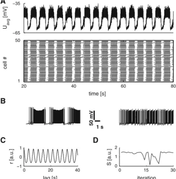 Fig. 2B). Figure 2C shows the autocorrelogram of the repre- repre-sentative sample. The averaged measure of rhythmic  stabil-ity (the ptcc) was estimated at 1.26 ± 0.47